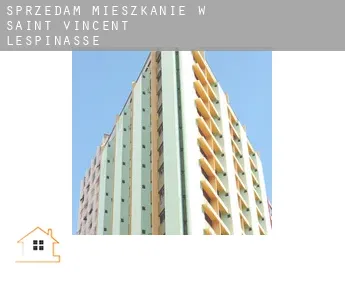 Sprzedam mieszkanie w  Saint-Vincent-Lespinasse