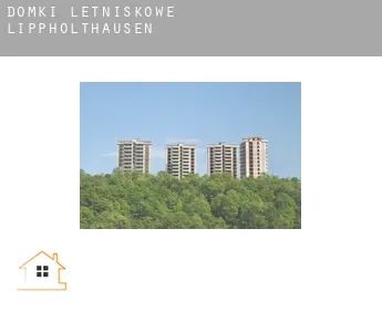 Domki letniskowe  Lippholthausen