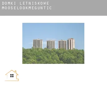 Domki letniskowe  Mooselookmeguntic
