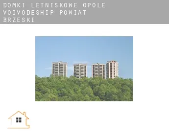 Domki letniskowe  Powiat brzeski (Opole Voivodeship)