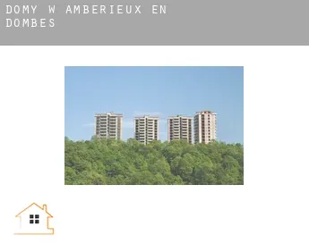 Domy w  Ambérieux-en-Dombes