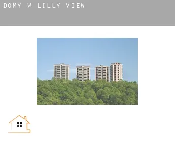 Domy w  Lilly View