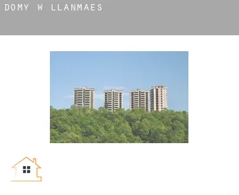 Domy w  Llanmaes