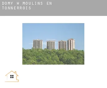 Domy w  Moulins-en-Tonnerrois