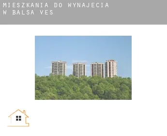 Mieszkania do wynajęcia w  Balsa de Ves