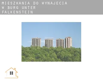 Mieszkania do wynajęcia w  Burg Unter-Falkenstein