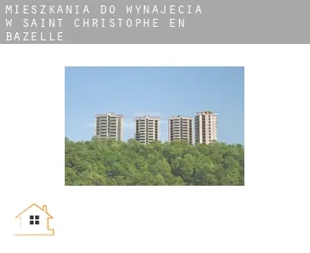 Mieszkania do wynajęcia w  Saint-Christophe-en-Bazelle