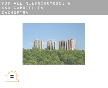 Portale nieruchomości w  São Gabriel da Cachoeira