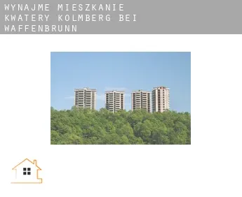 Wynajmę mieszkanie kwatery  Kolmberg bei Waffenbrunn
