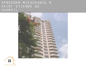 Sprzedam mieszkanie w  Saint-Étienne-de-Chomeil