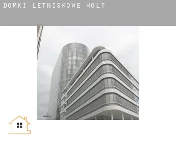 Domki letniskowe  Holt