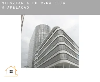 Mieszkania do wynajęcia w  Apelação