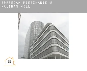 Sprzedam mieszkanie w  Halihan Hill