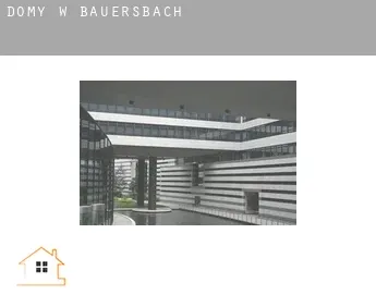 Domy w  Bauersbach
