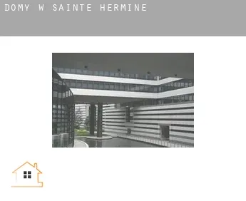 Domy w  Sainte-Hermine