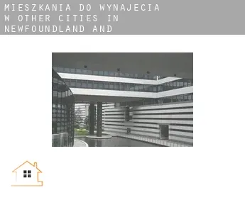 Mieszkania do wynajęcia w  Other cities in Newfoundland and Labrador