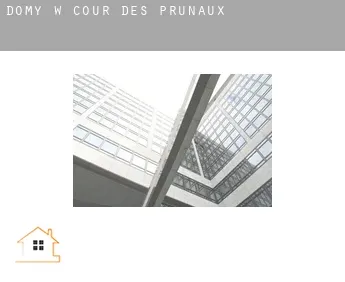 Domy w  Cour des Prunaux