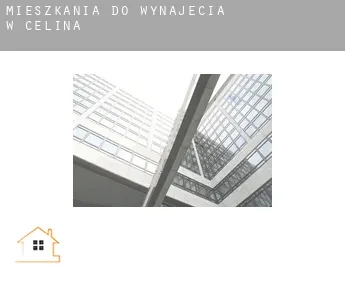 Mieszkania do wynajęcia w  Celina