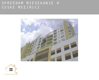 Sprzedam mieszkanie w  České Meziříčí