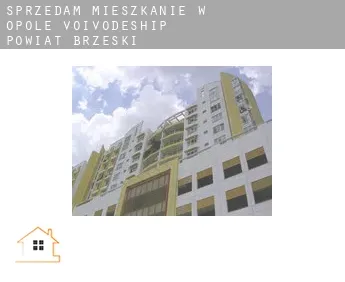 Sprzedam mieszkanie w  Powiat brzeski (Opole Voivodeship)