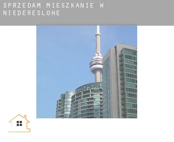 Sprzedam mieszkanie w  Niedereslohe