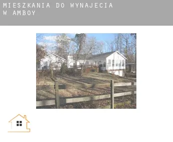 Mieszkania do wynajęcia w  Amboy