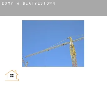 Domy w  Beatyestown