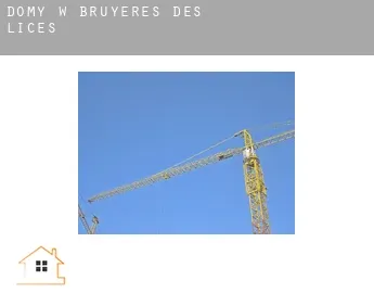 Domy w Bruyères-des-Lices
