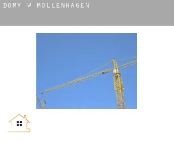 Domy w  Möllenhagen