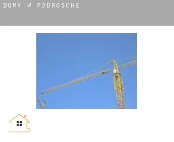 Domy w  Podrosche