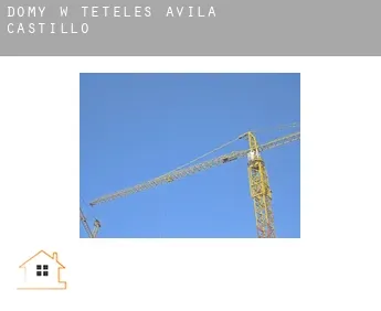 Domy w  Teteles de Ávila Castillo