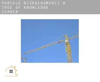 Portale nieruchomości w  Tree of Knowledge Corner