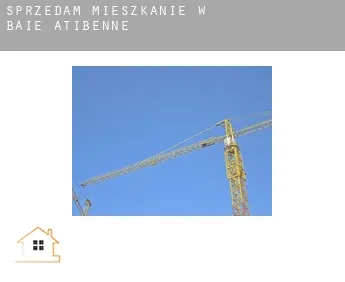 Sprzedam mieszkanie w  Baie-Atibenne