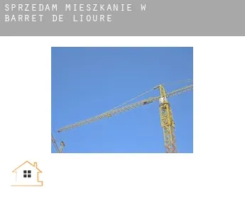 Sprzedam mieszkanie w  Barret-de-Lioure