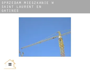 Sprzedam mieszkanie w  Saint-Laurent-en-Gâtines