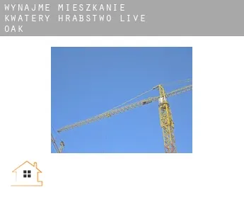 Wynajmę mieszkanie kwatery  Hrabstwo Live Oak