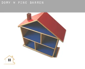 Domy w  Pine Barren