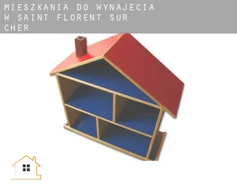 Mieszkania do wynajęcia w  Saint-Florent-sur-Cher