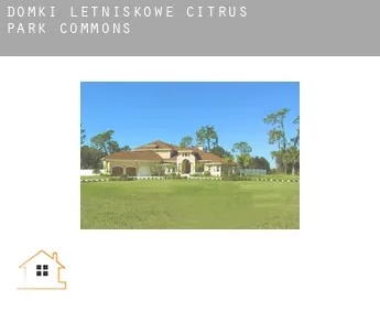 Domki letniskowe  Citrus Park Commons