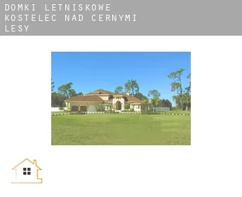 Domki letniskowe  Kostelec nad Černými Lesy
