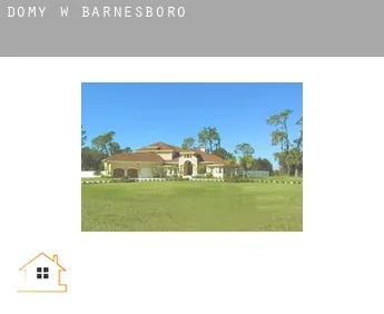 Domy w  Barnesboro