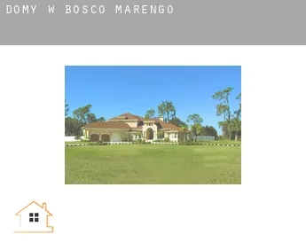 Domy w  Bosco Marengo