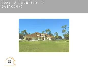 Domy w  Prunelli-di-Casacconi