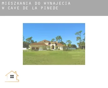 Mieszkania do wynajęcia w  Cave de la Pinède