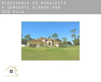 Mieszkania do wynajęcia w  Gemeente Alphen aan den Rijn