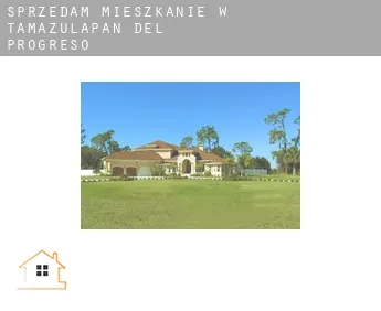 Sprzedam mieszkanie w  Tamazulapan del Progreso