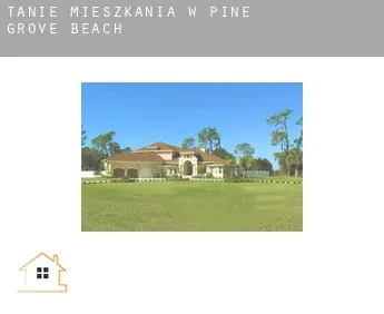 Tanie mieszkania w  Pine Grove Beach