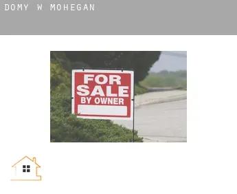 Domy w  Mohegan