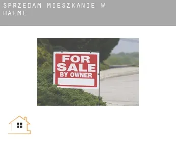 Sprzedam mieszkanie w  Haeme