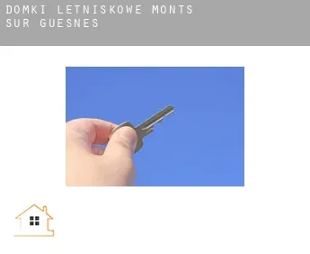 Domki letniskowe  Monts-sur-Guesnes